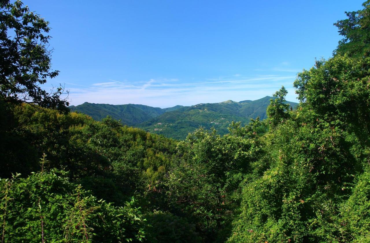 Hotel Podere Conti Filattiera Экстерьер фото